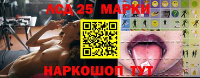 гидропоника Можга